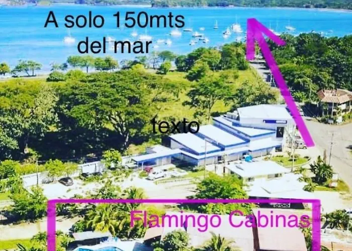 Flamingo 107 Apartment, 100mts From The *